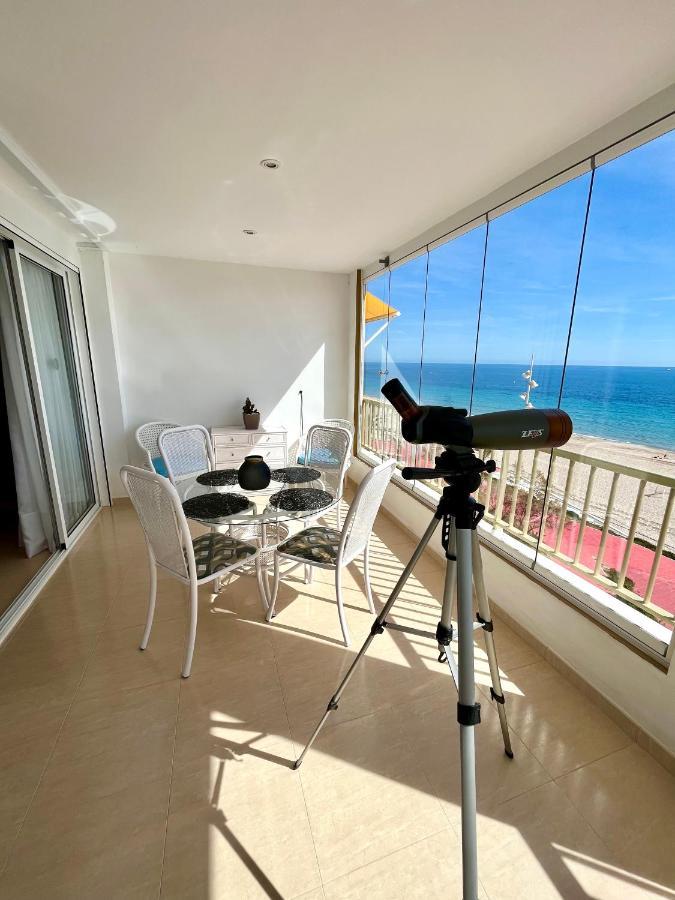 Dali Poniente Leilighet Benidorm Eksteriør bilde